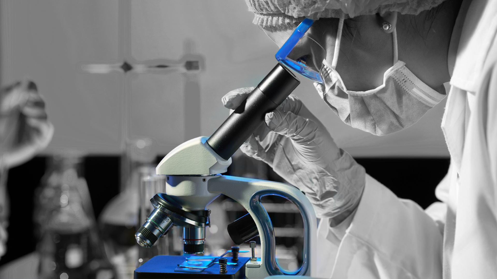 Laboratory Image 3